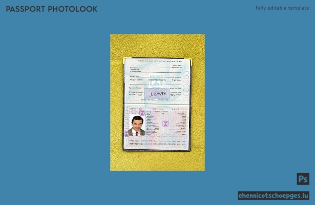 Israel-Pass 1992-2013 Foto-Beispielvorschau